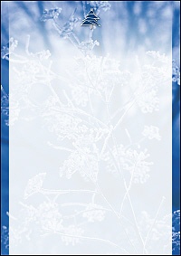 Weihnachtsbriefpapier 19041