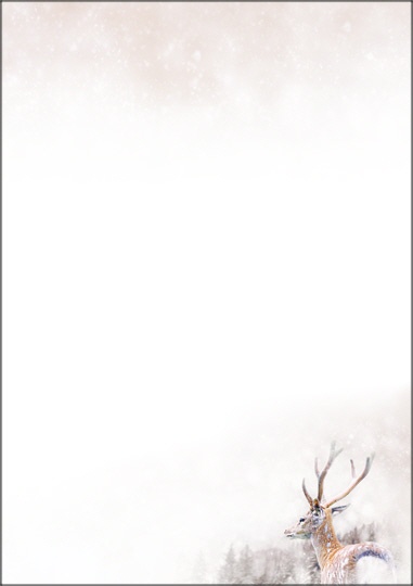 Weihnachtsbriefpapier 19084