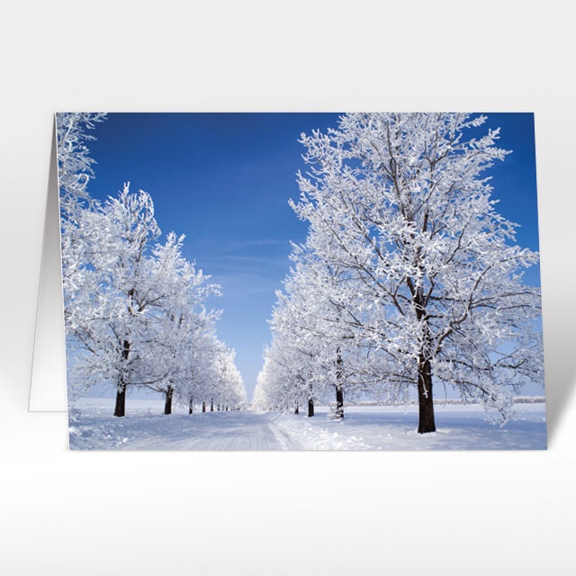 Weihnachtskarte WA_18124