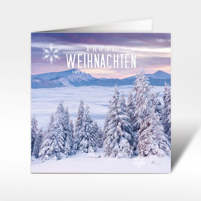 Weihnachtskarte 18230