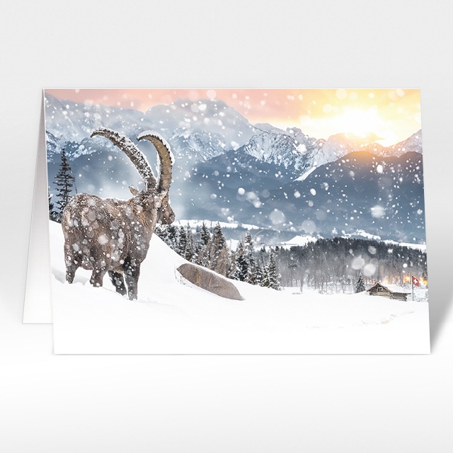 Weihnachtskarte 18312-N