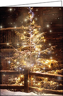Weihnachtskarte, heimeliger Weihnachtsbaum, A5